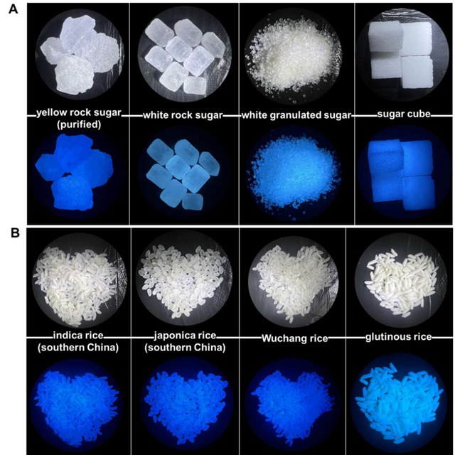 TOC: Clusteroluminescent Monosaccharide, Oligosaccharide, and Polysaccharide