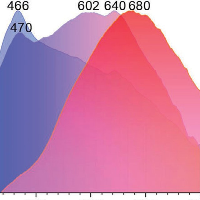 TOC: Sulfur-Bridged Pure Organic Ester Clusters Exhibiting Near-Infrared Fluorescence