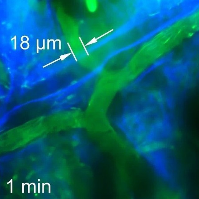 TOC: Two-Photon Clusteroluminescence Enabled by Through-Space Conjugation