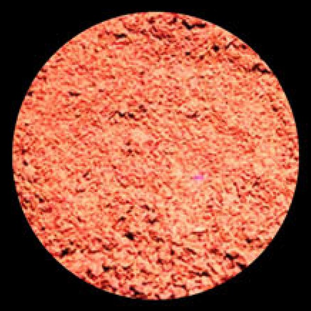 TOC: Enabling Nonconjugated Polyesters Emit Full-Spectrum Fluorescence